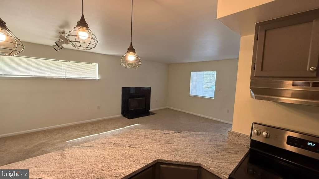 8103 Greenspring Way #8103b photo 21