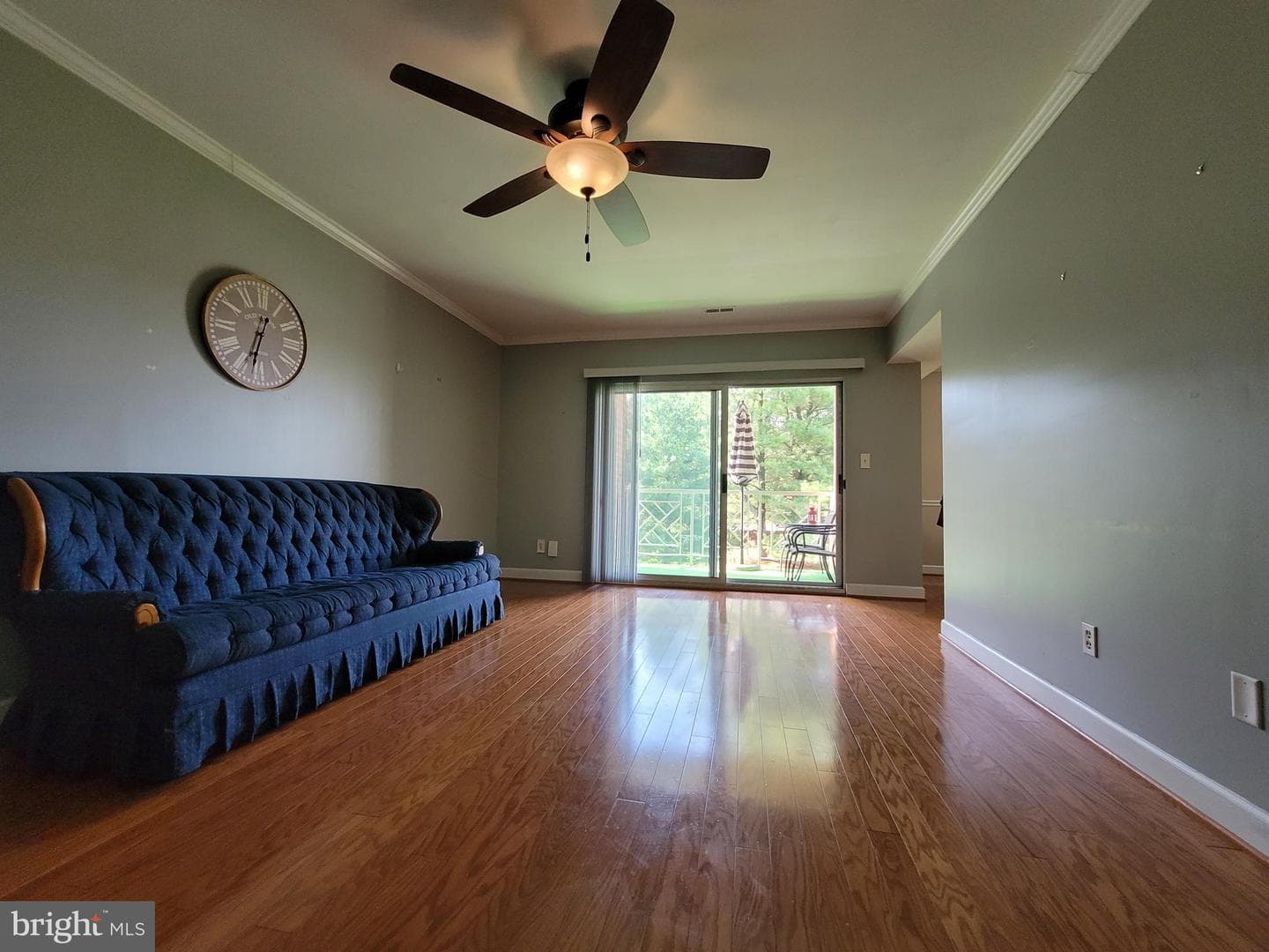 6 Elphin Court #201 photo 22