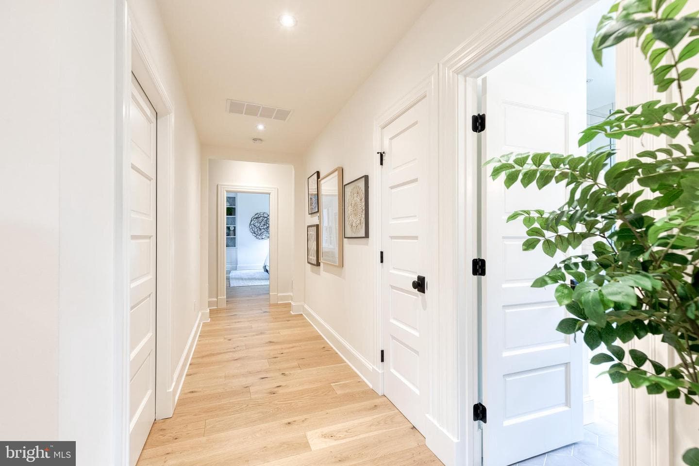 1500 Maywood Avenue photo 55