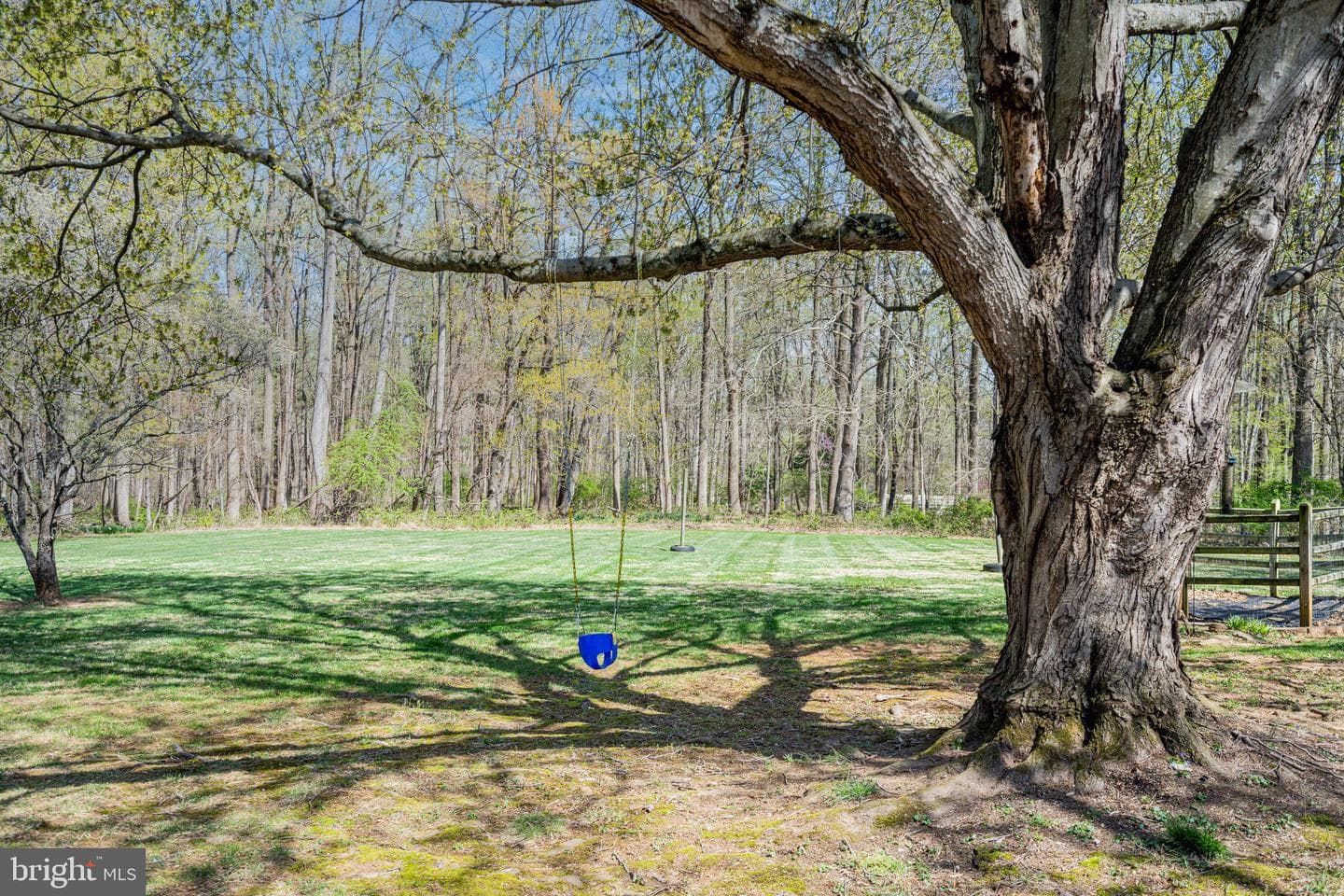 13707 Killarney Court photo 52