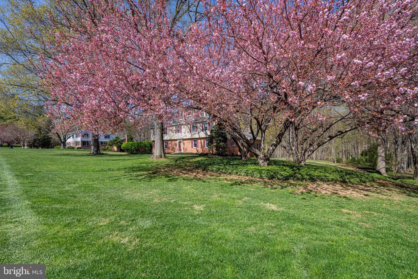 13707 Killarney Court photo 6