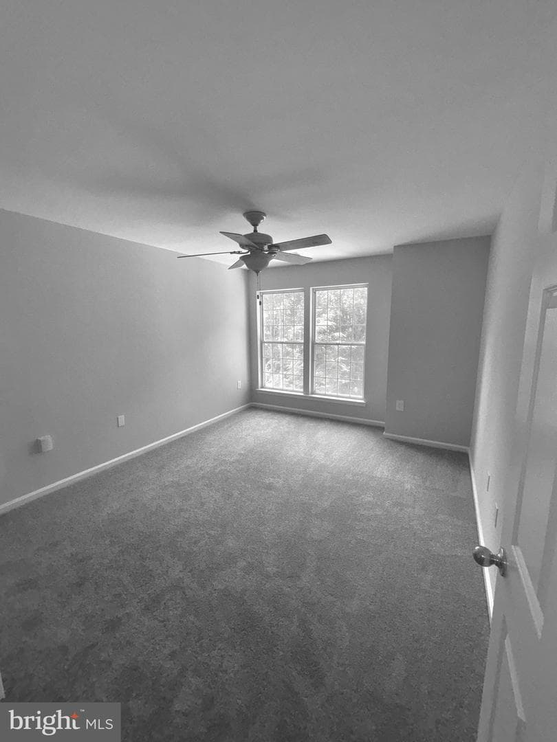 4409 Silverbrook Lane #304 photo 10