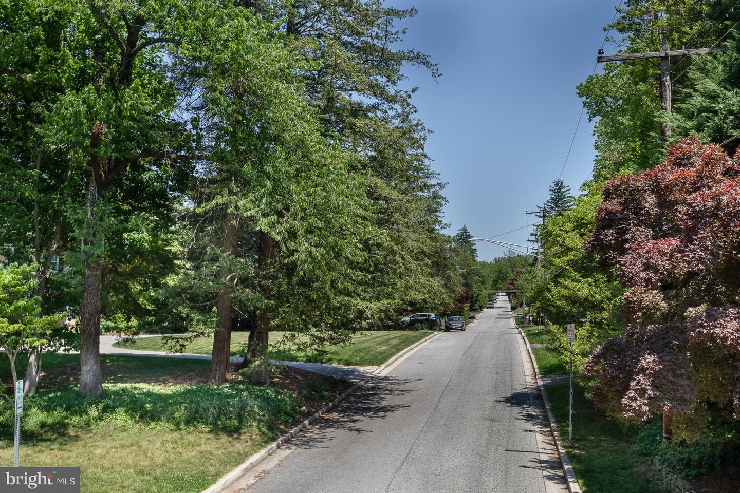 571 Woodbine Avenue photo 33