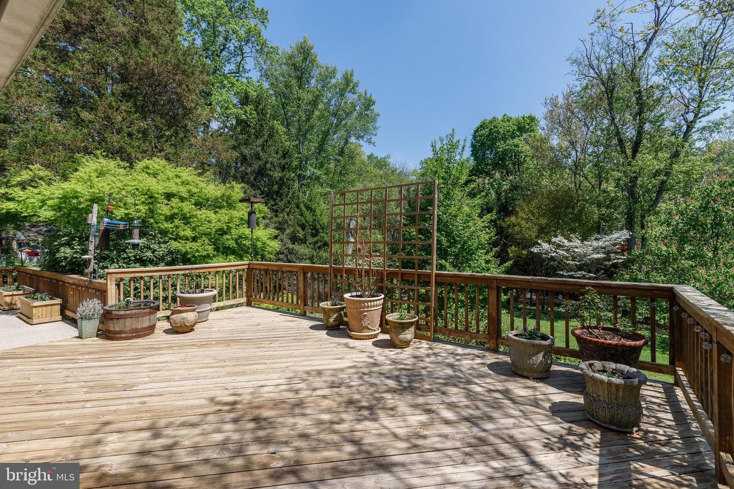 3915 Longmoor Circle photo 41