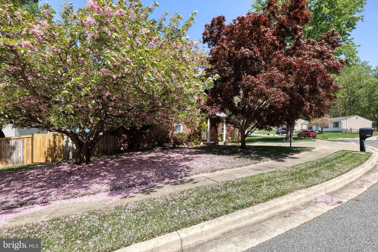 2608 Bradwell Court photo 4