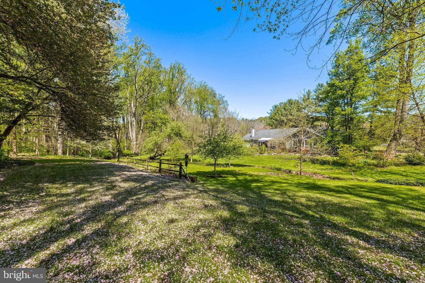 13928 Green Branch Drive photo 100