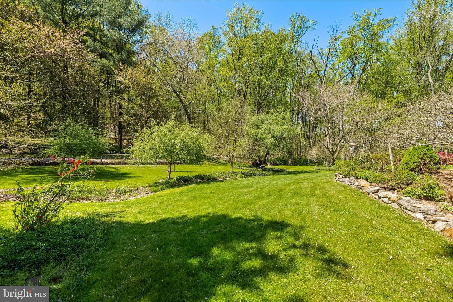 13928 Green Branch Drive photo 97