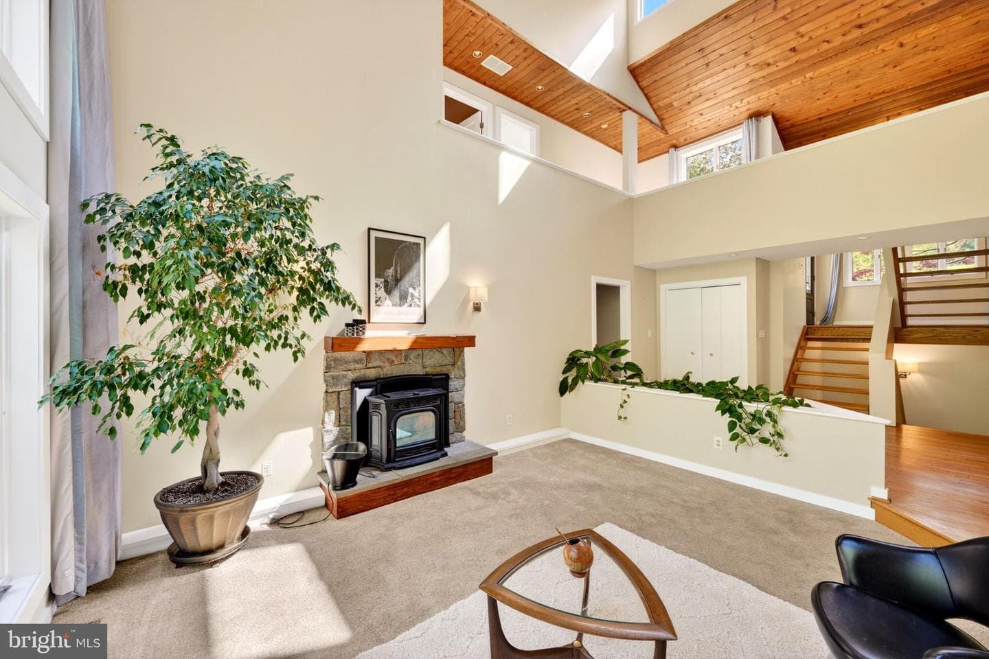 16 Seven Springs Court photo 12