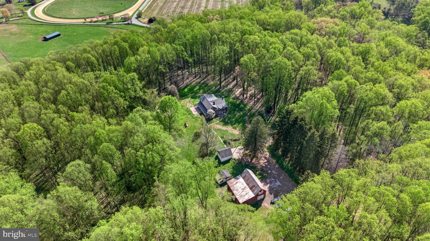 13009 Bottom Road photo 11
