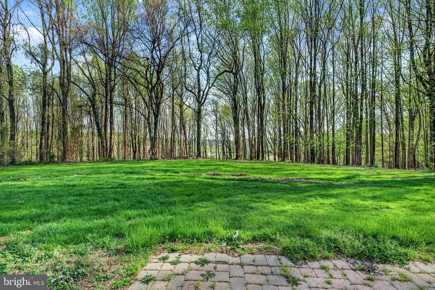 13009 Bottom Road photo 56