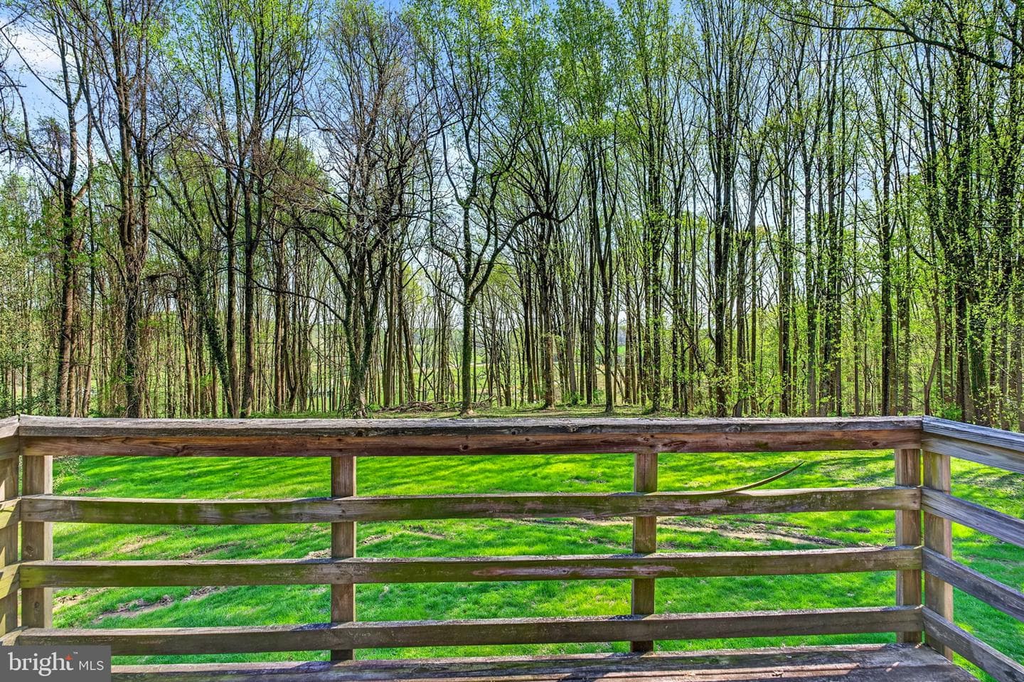 13009 Bottom Road photo 57