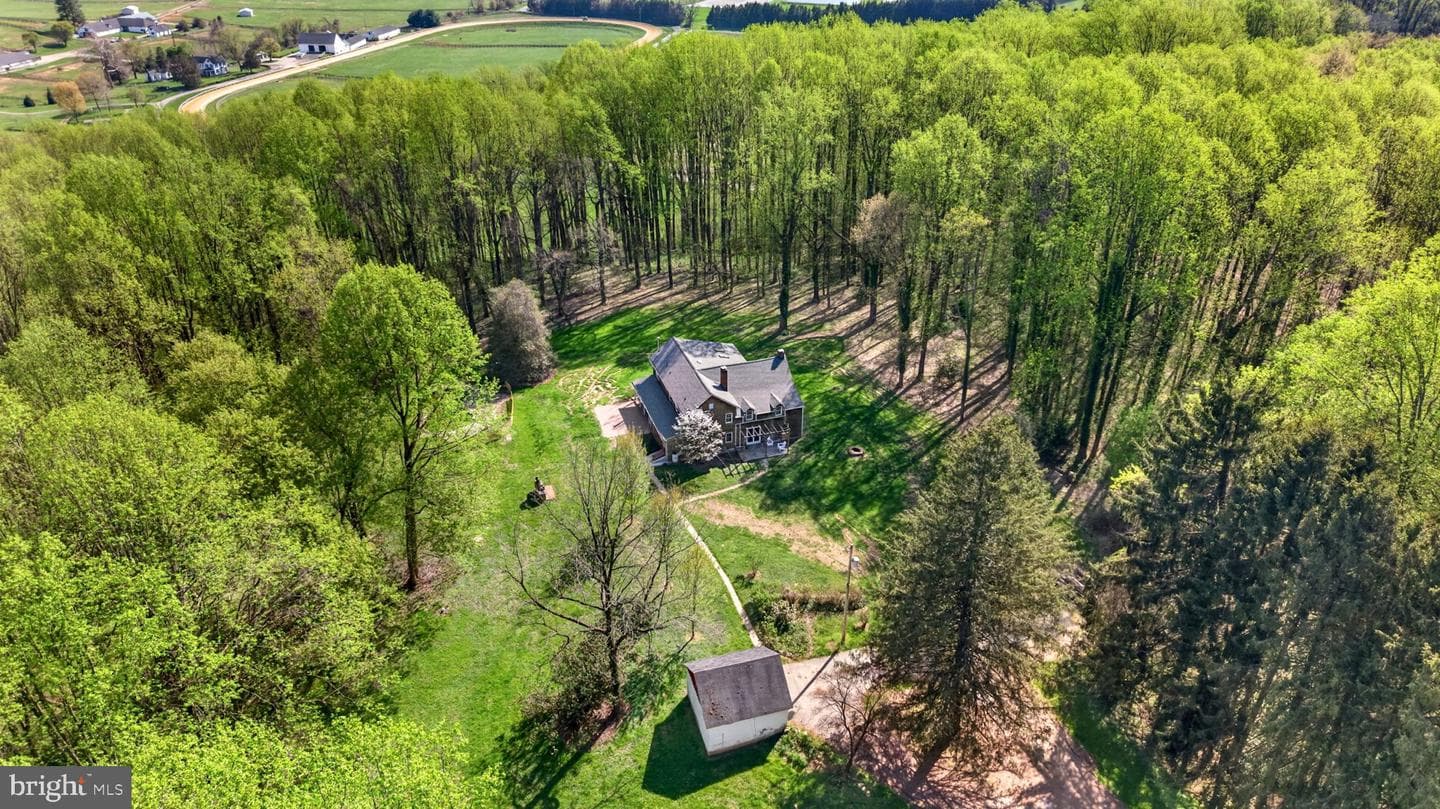 13009 Bottom Road photo 8