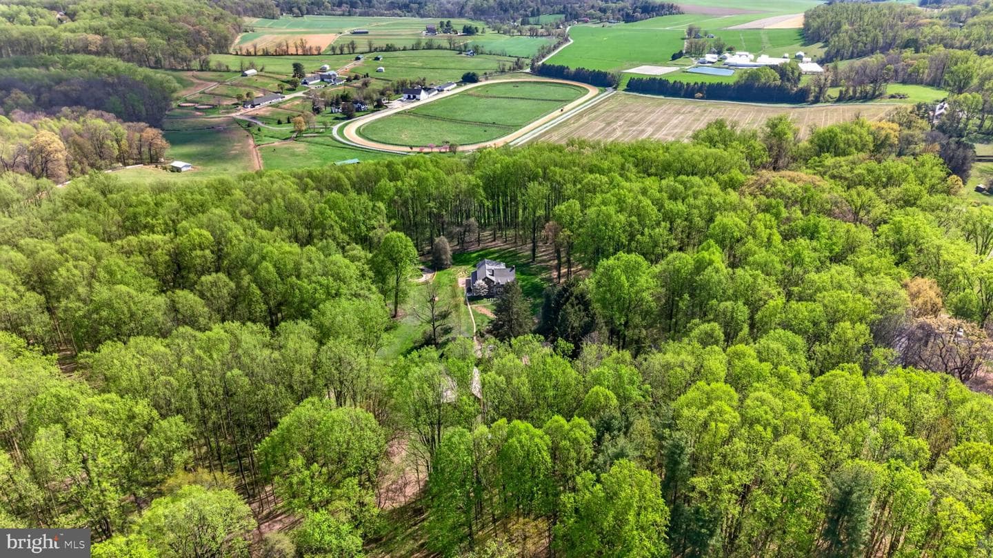 13009 Bottom Road photo 9
