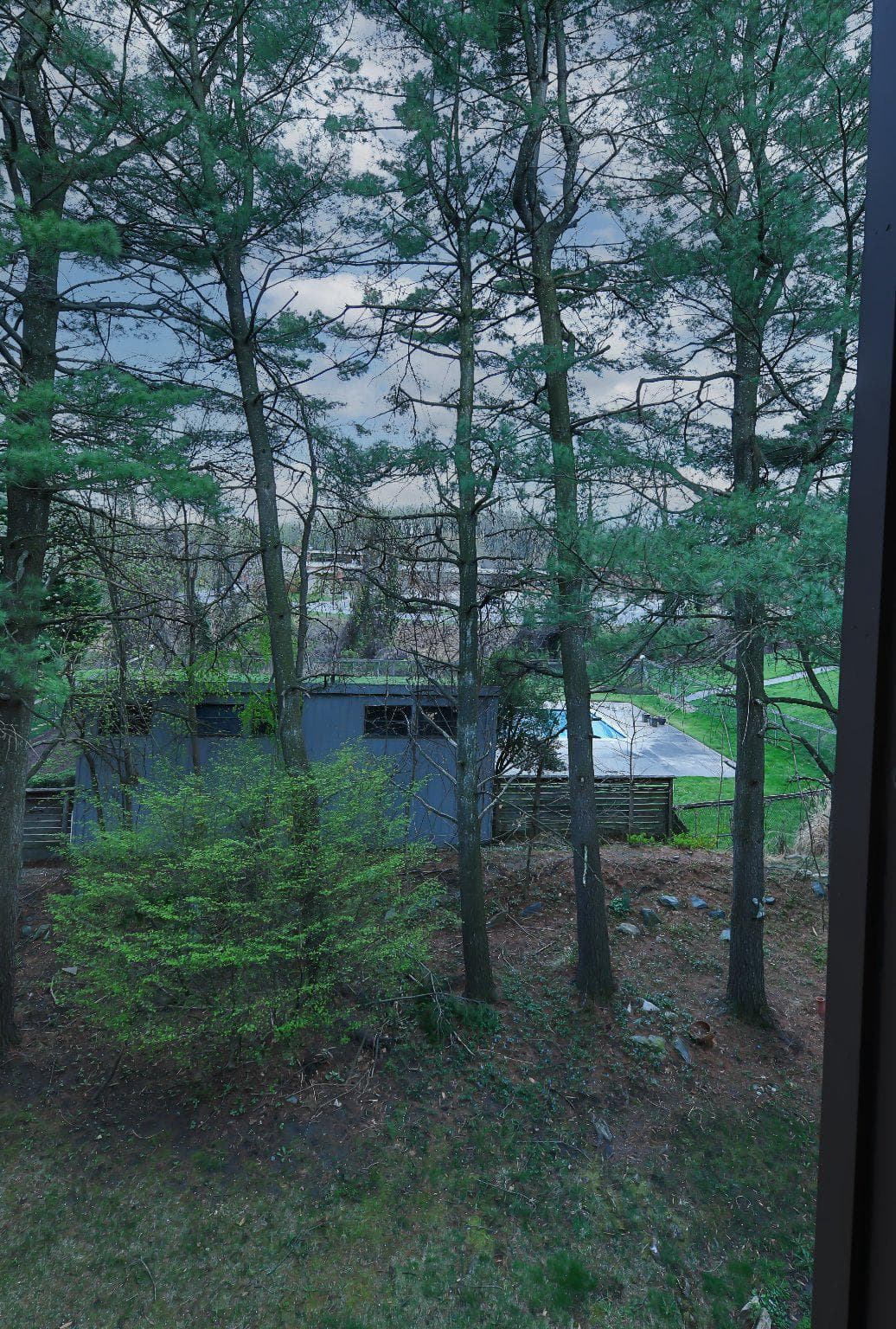 45 Penny Lane #45 photo 30