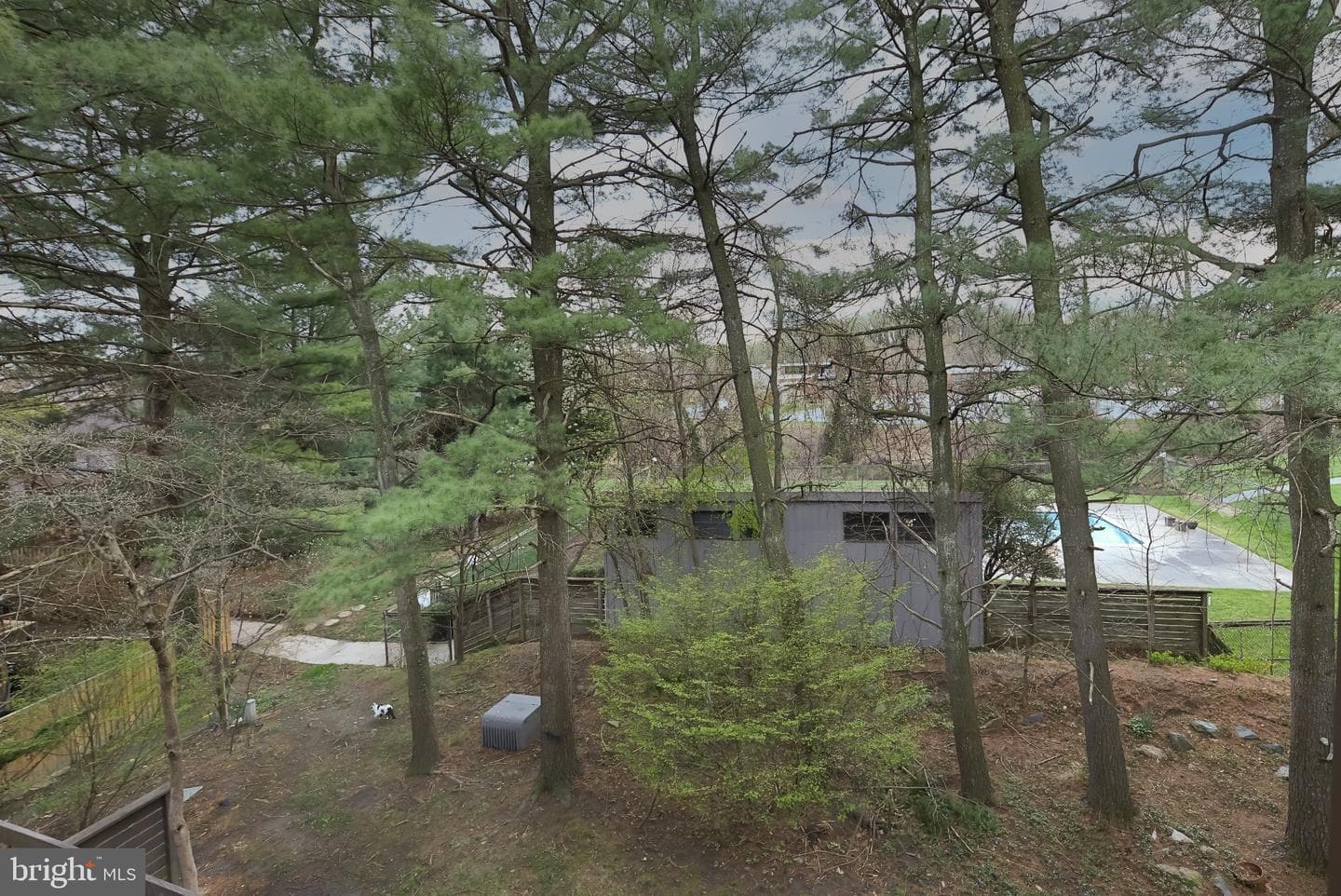 45 Penny Lane #45 photo 31