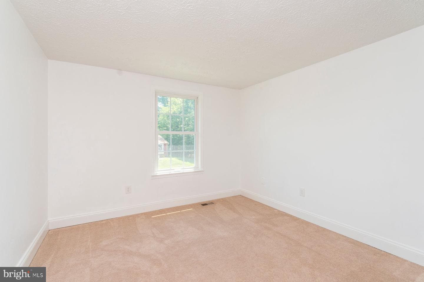 3908 Tevis Circle photo 15