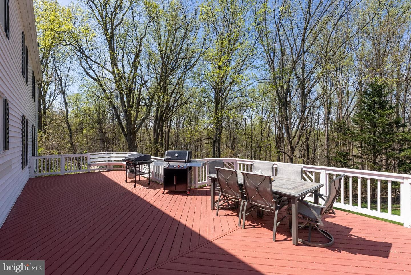 13716 Princess Anne Way photo 42