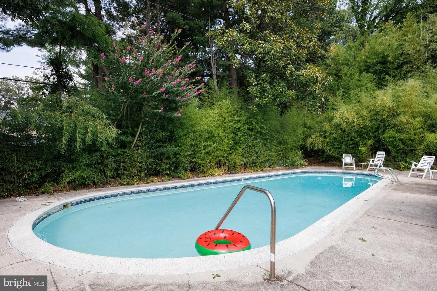 2104 Cedar Circle Drive photo 61