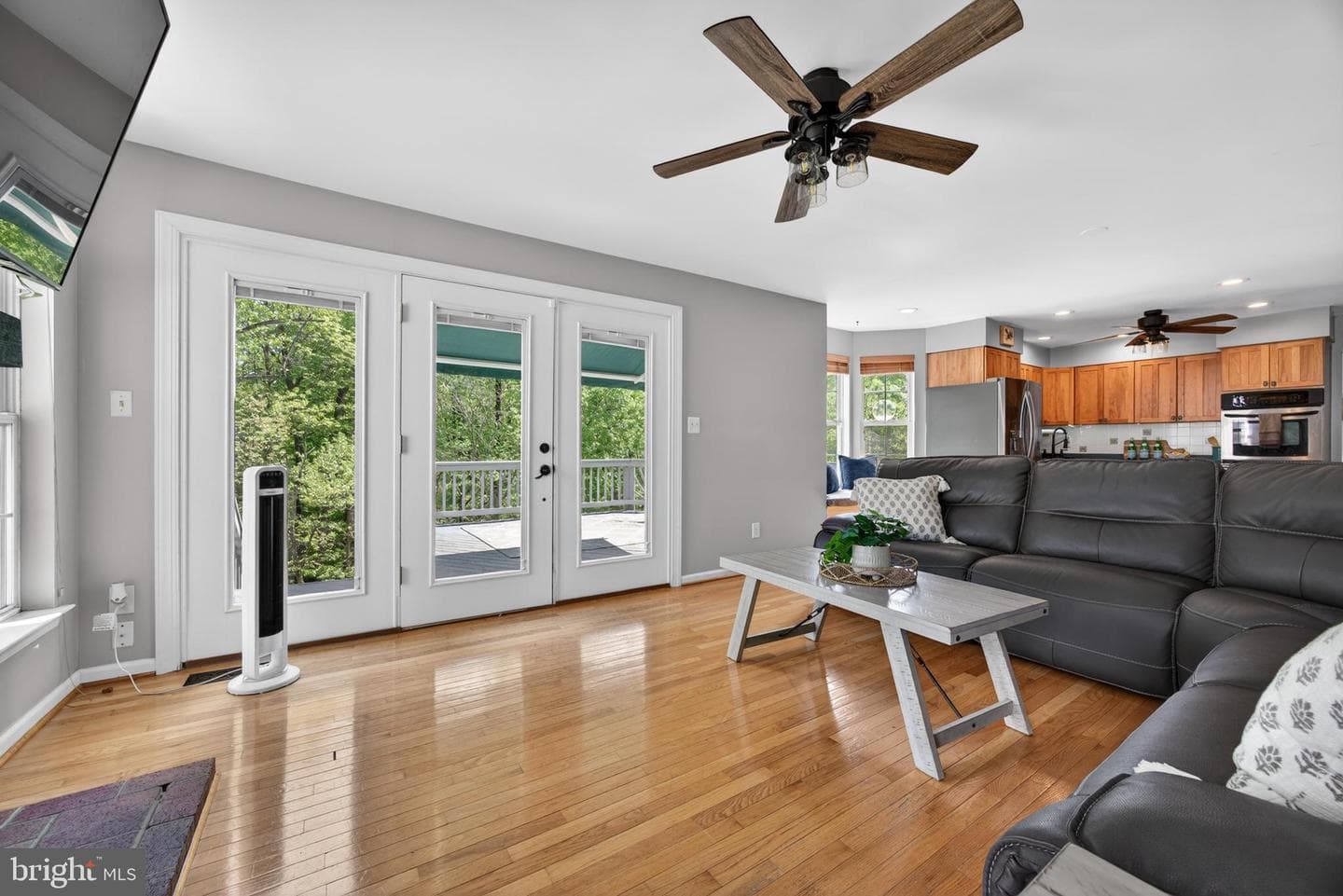 24 Basswood Court photo 22