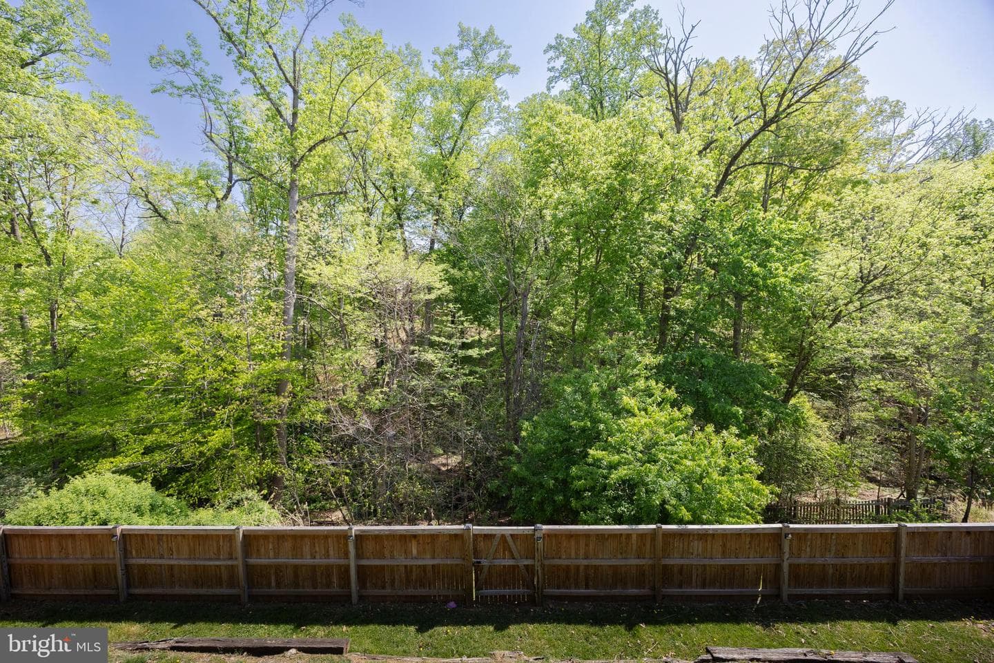 24 Basswood Court photo 54
