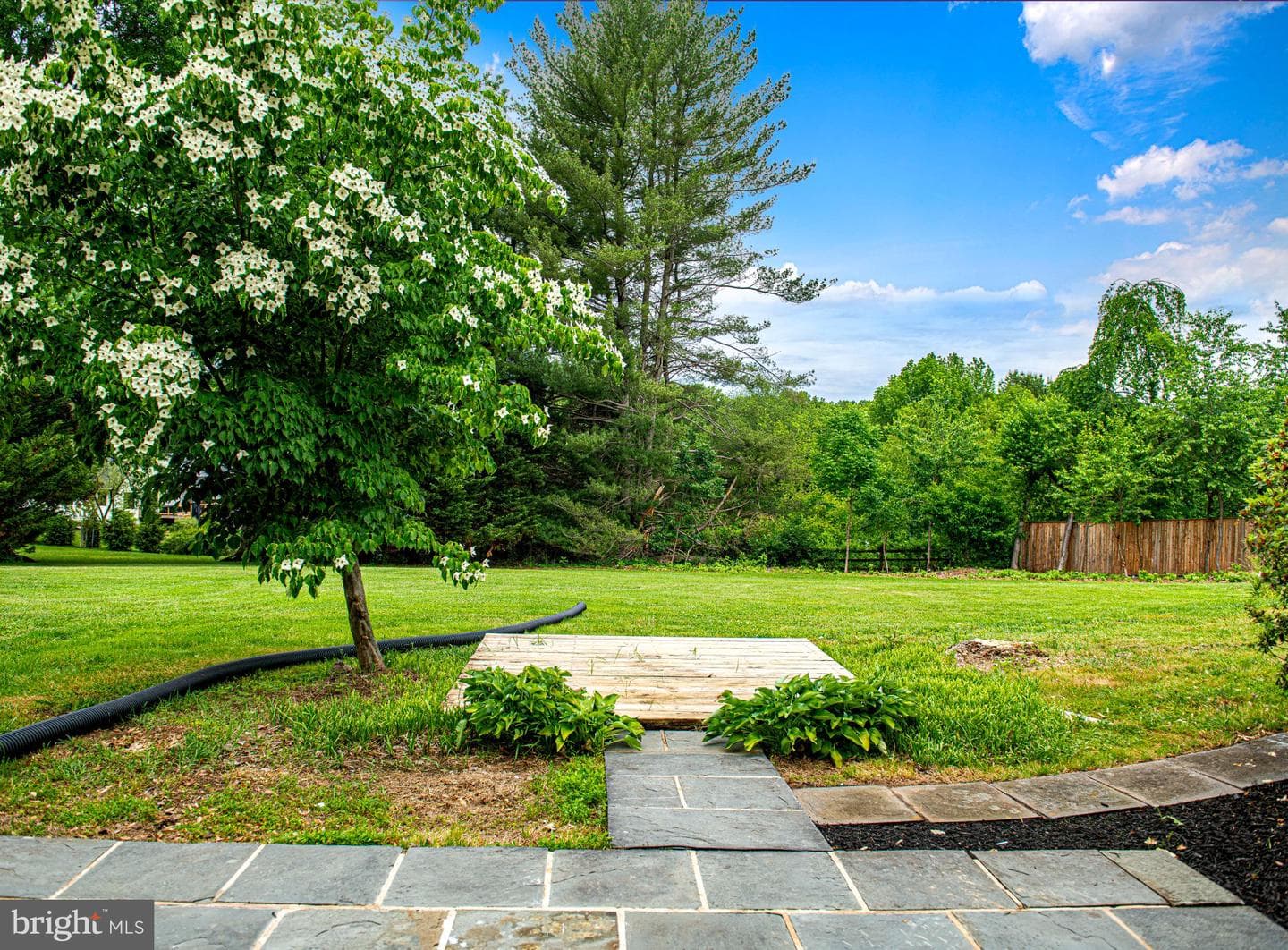 14300 Carroll Ridge Court photo 56