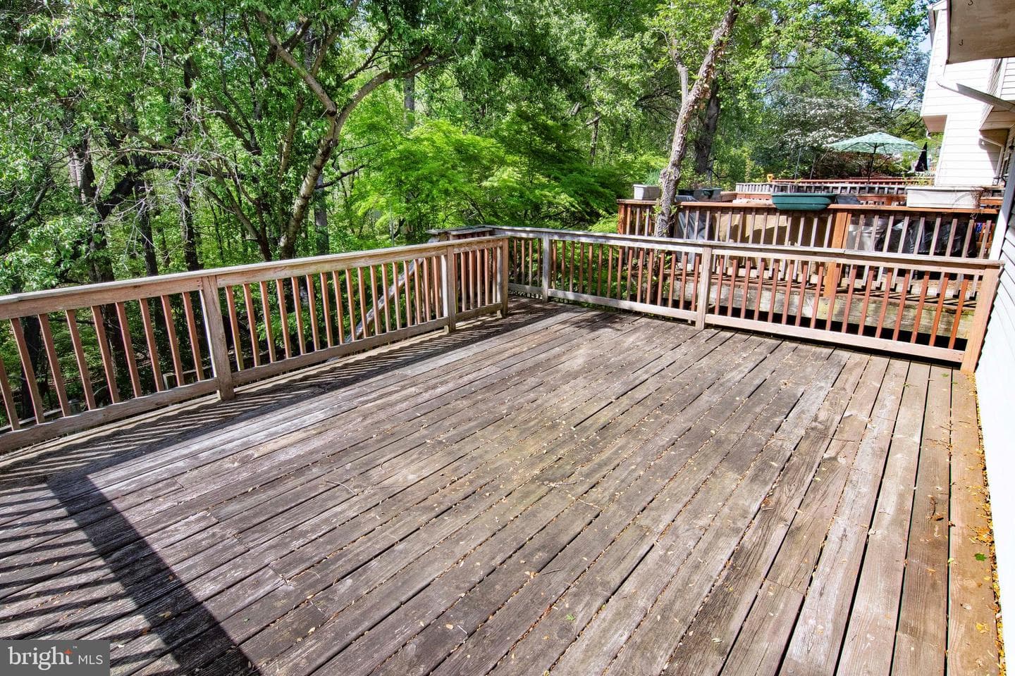 46 Abbey Bridge Court photo 17
