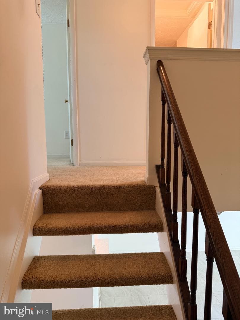 29 Redare Court photo 12