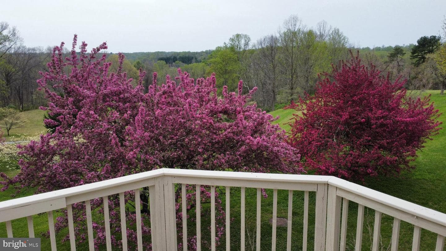 15701 Home Road photo 91