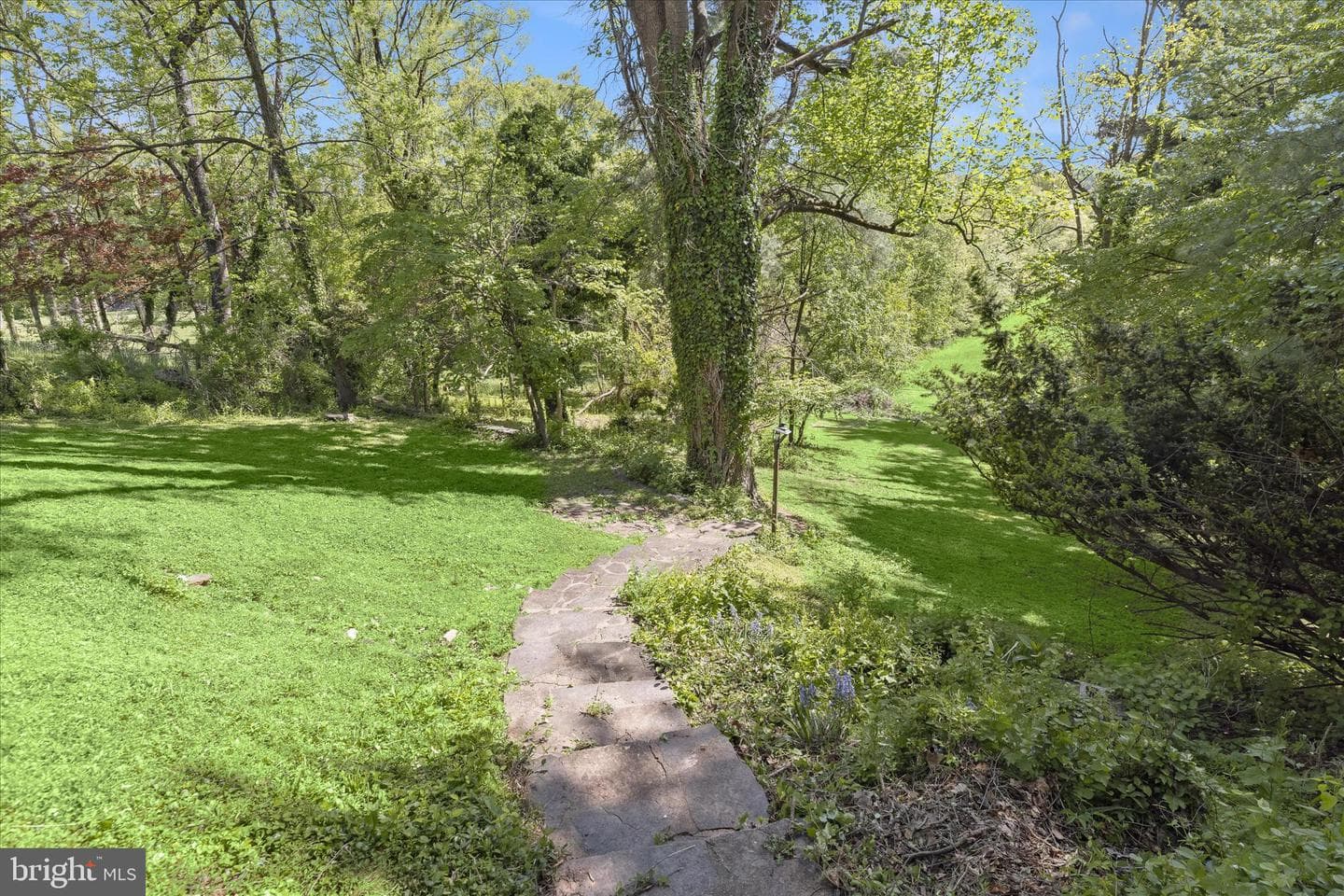 8701 Windsor Mill Road photo 49