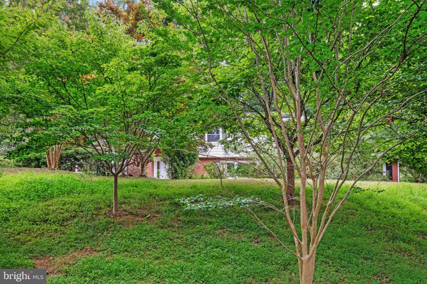 804 Huntsman Road photo 4