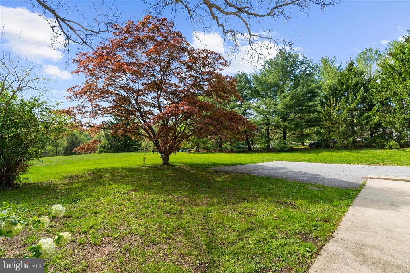 14620 Manor Road photo 31