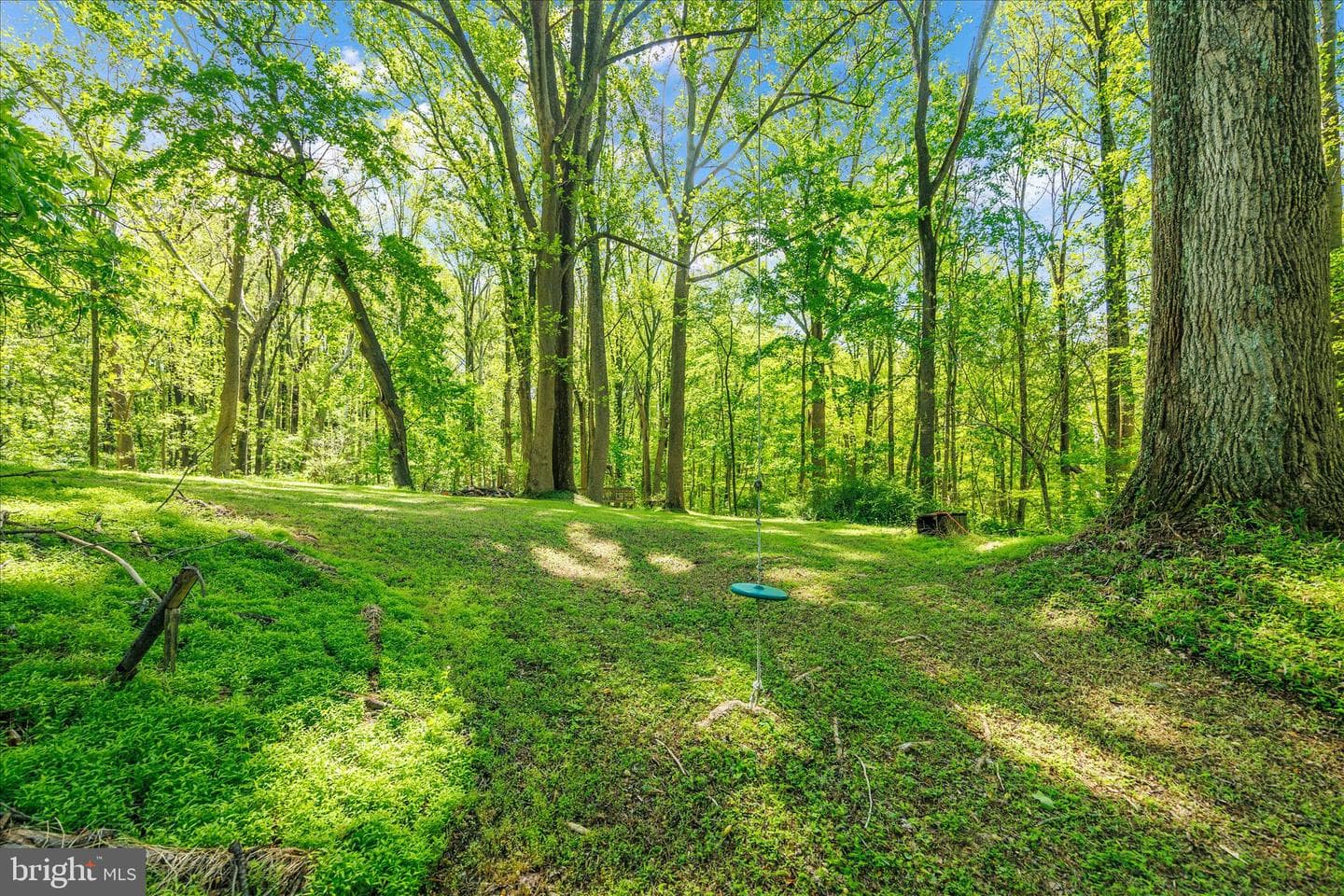 10913 Summit Avenue photo 38