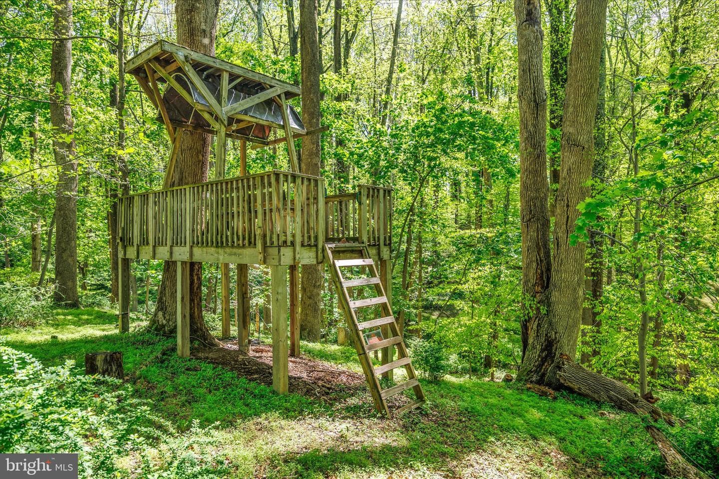 10913 Summit Avenue photo 41