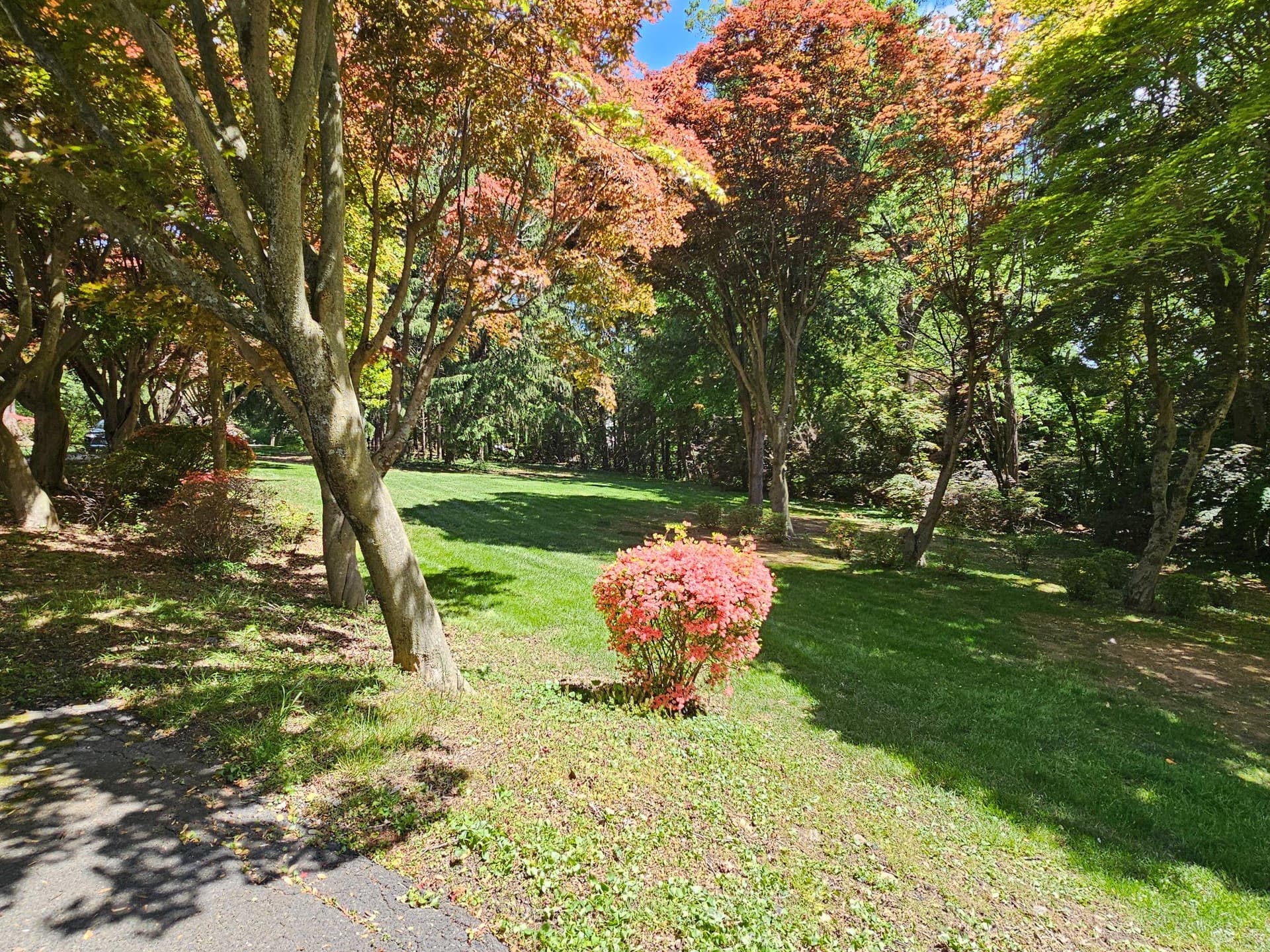 4619 Long Green Road photo 64