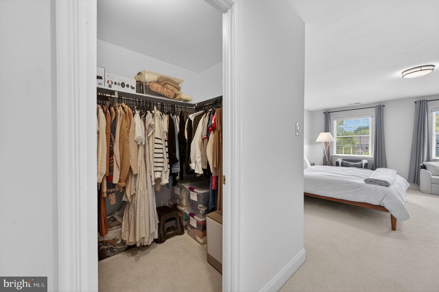 6 Seaberry Court photo 46