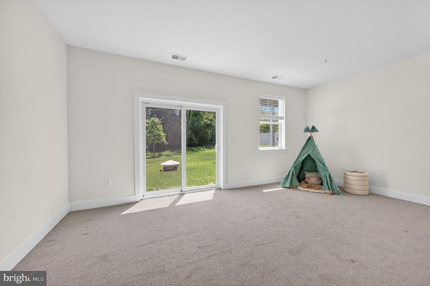 10047 Whitaker Way photo 37
