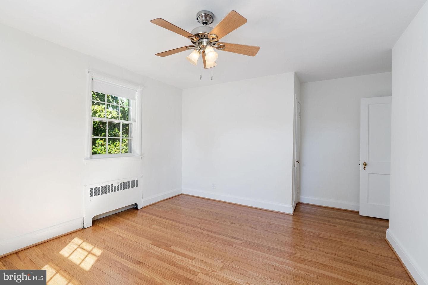 19 Dunkirk Road photo 21