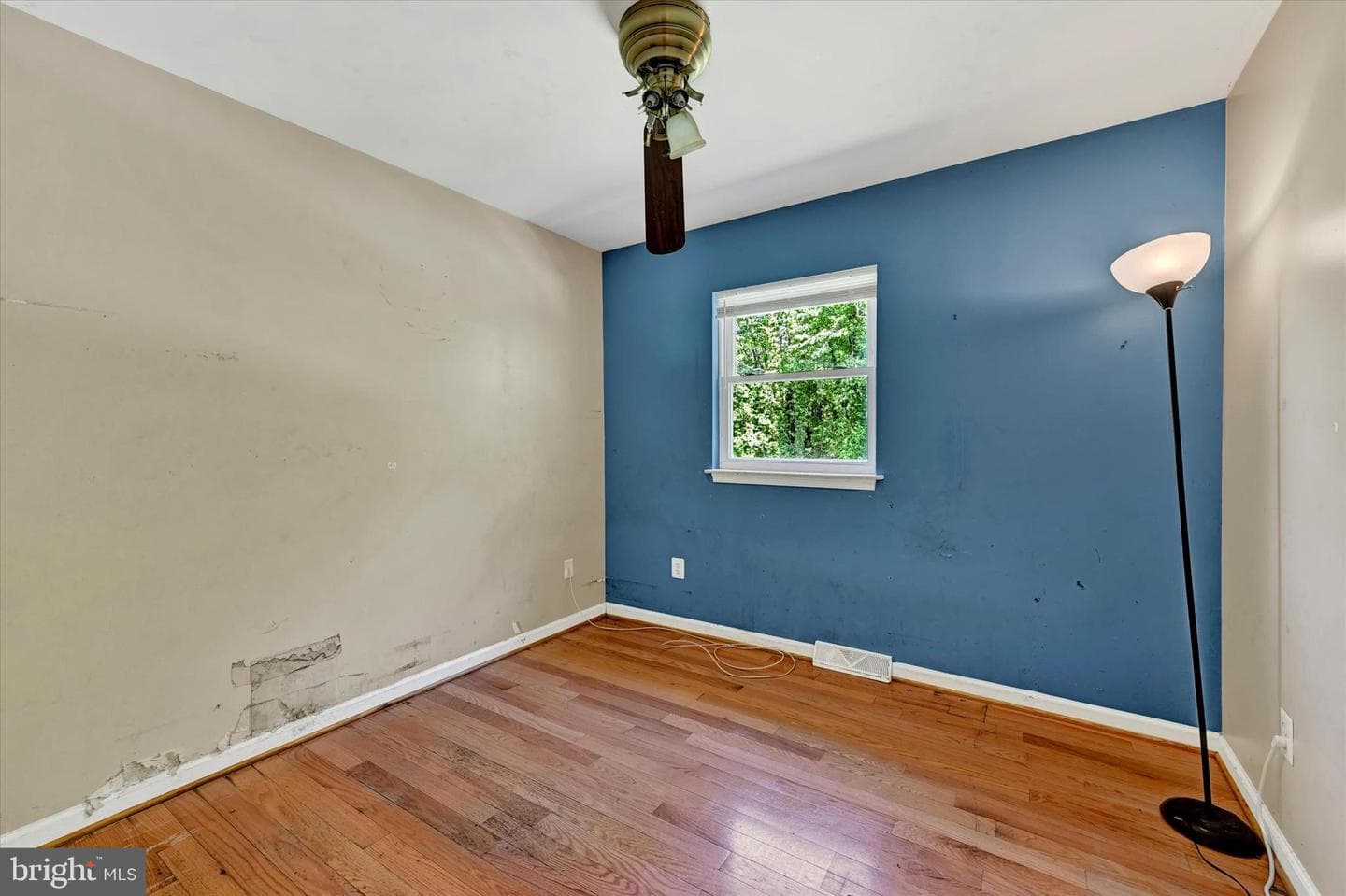 206 Melvin Avenue photo 24