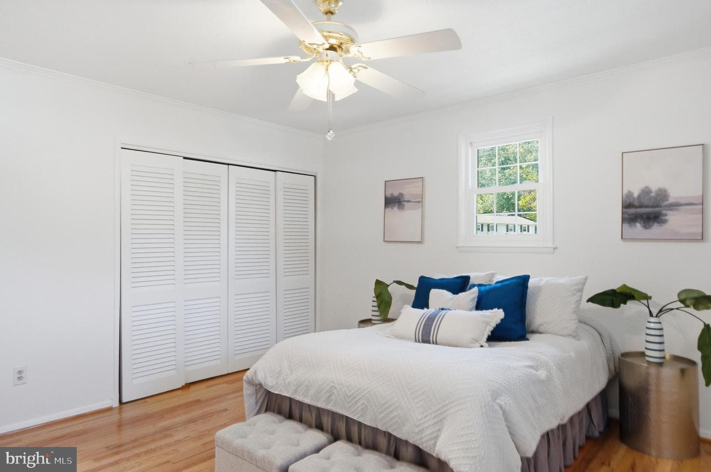 220 Solway Road photo 13