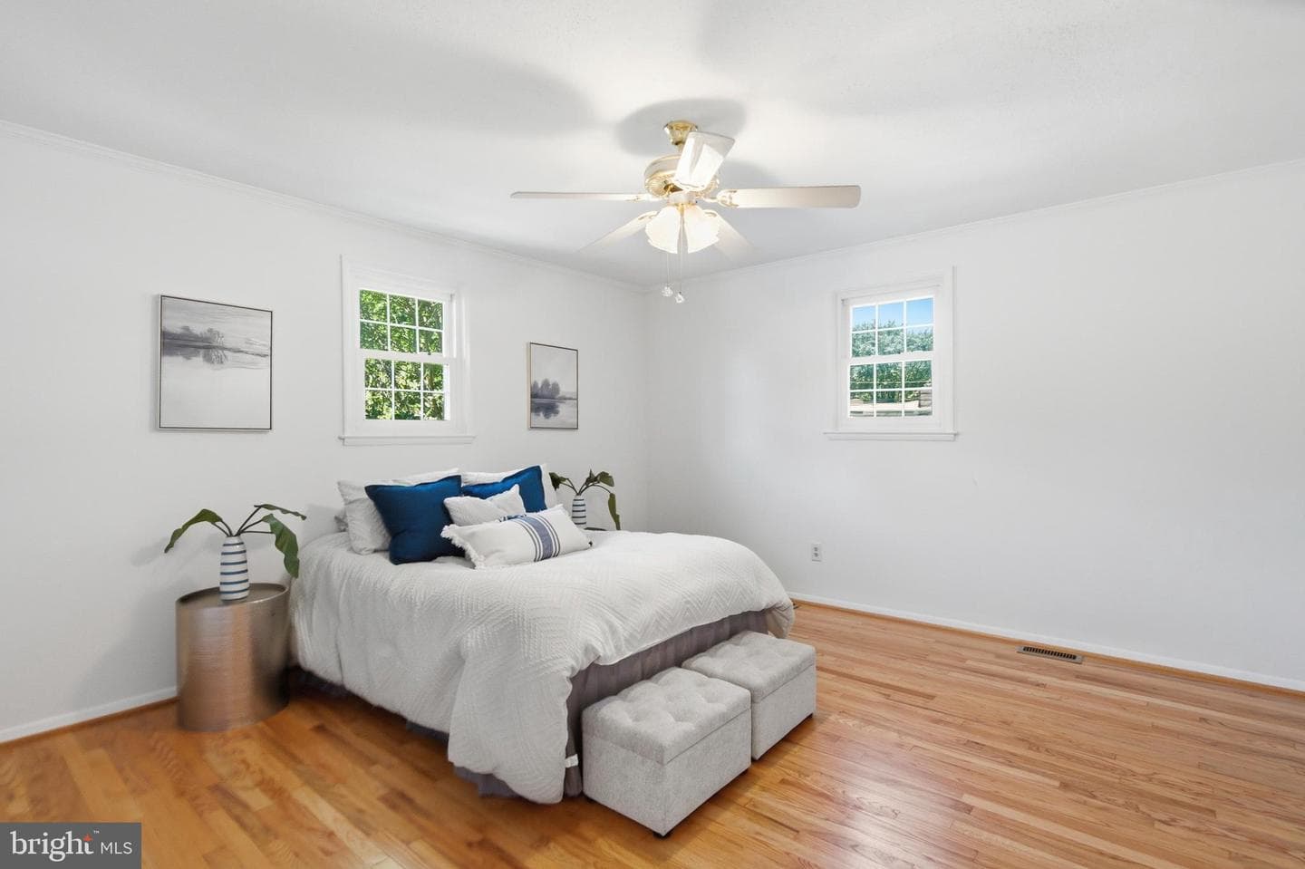 220 Solway Road photo 14