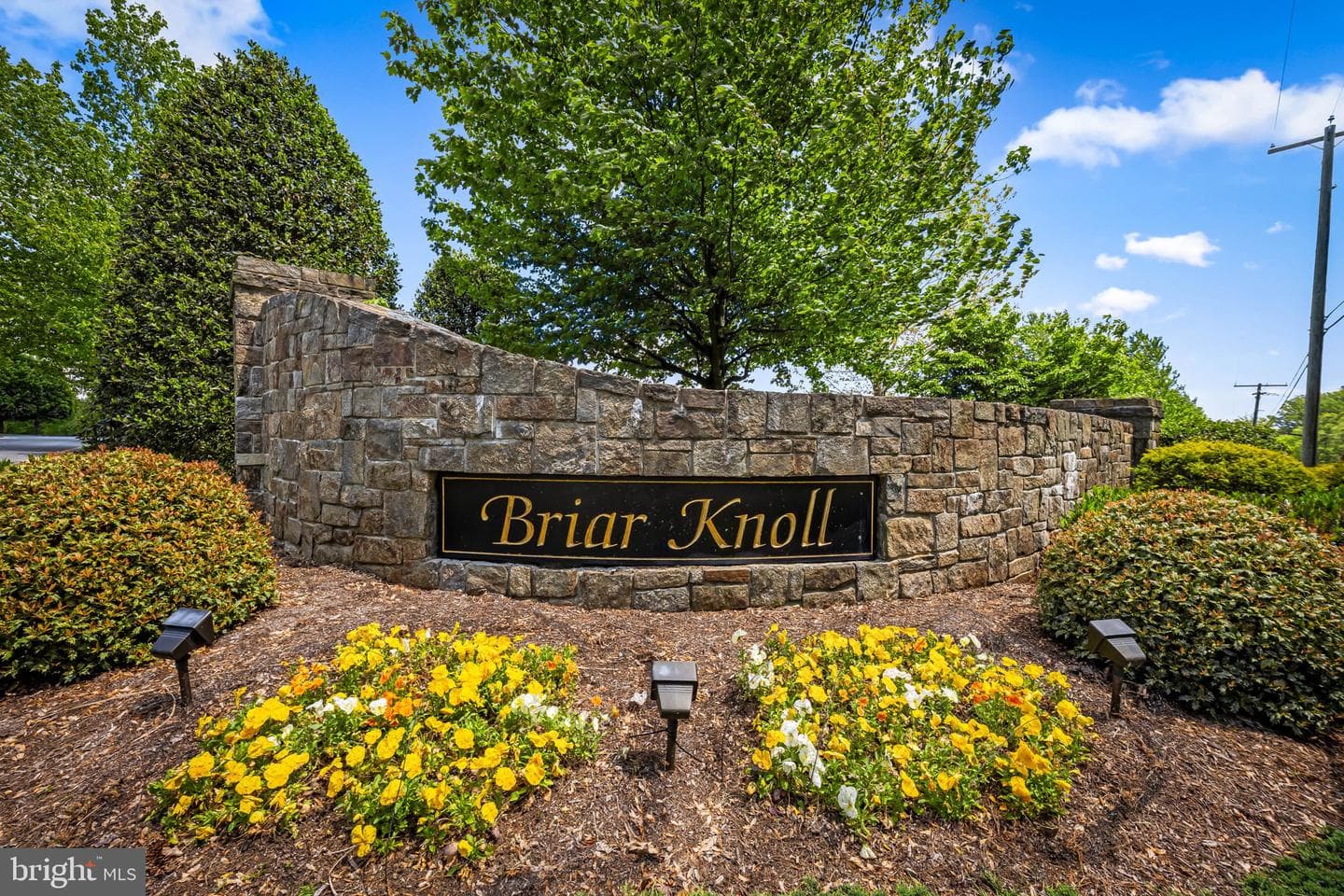 3942 Briar Knoll Circle photo 2