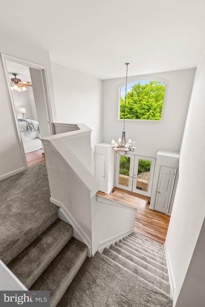 9 Latimore Way photo 34