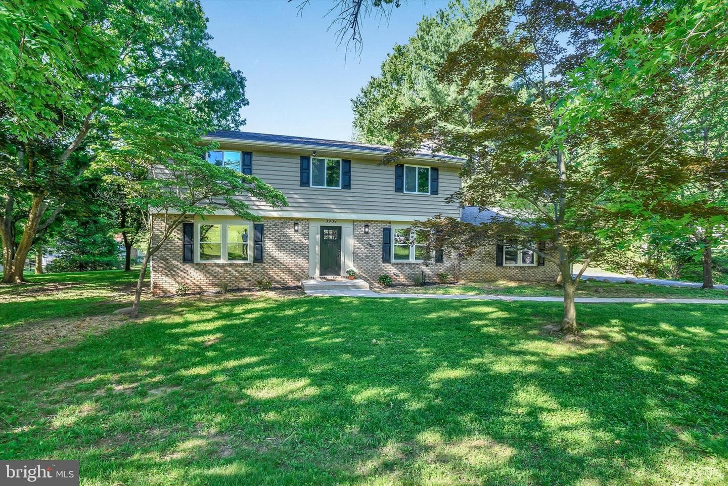 3909 Thoroughbred Lane photo 4