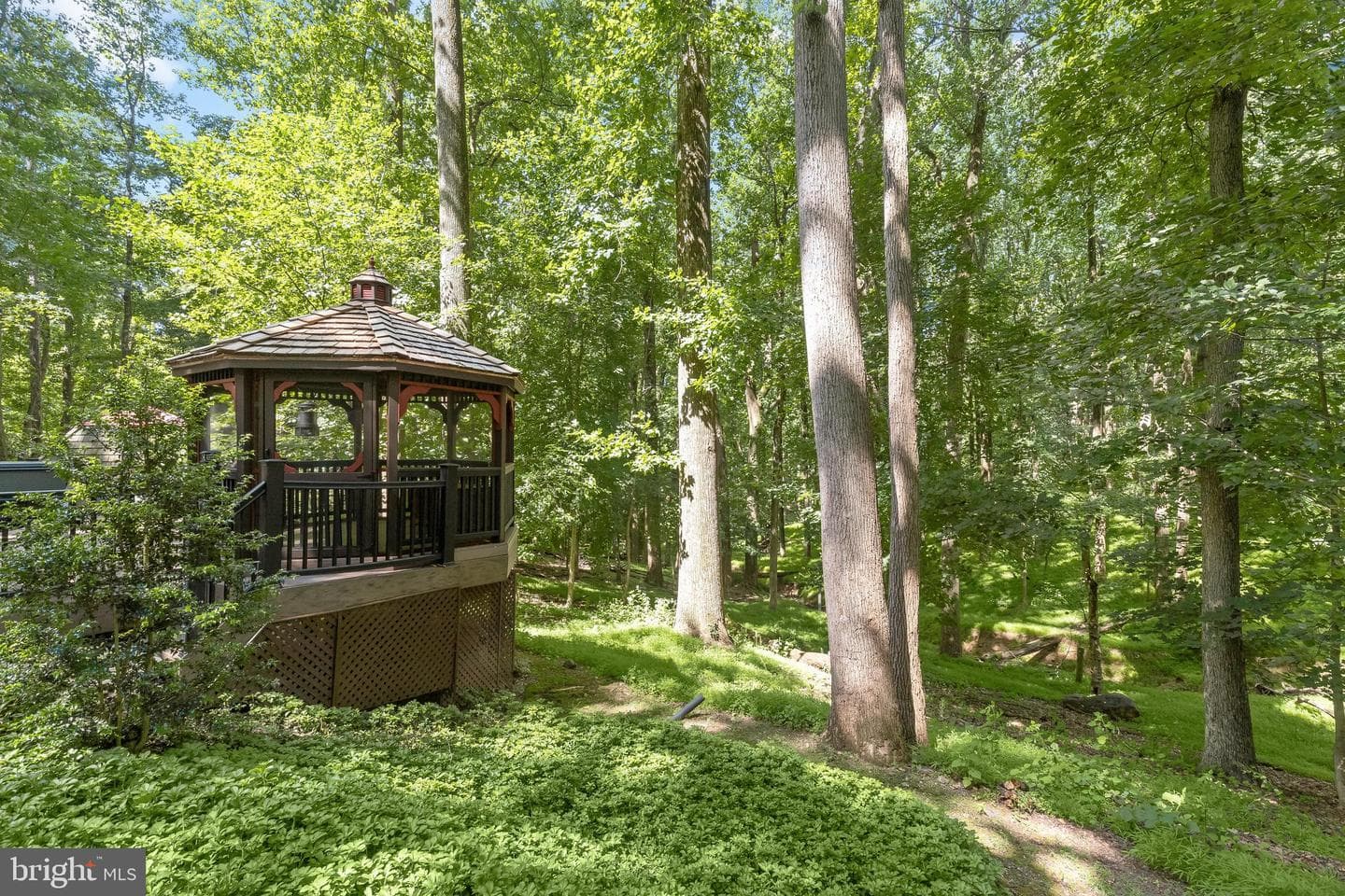 3903 Dance Mill Road photo 67