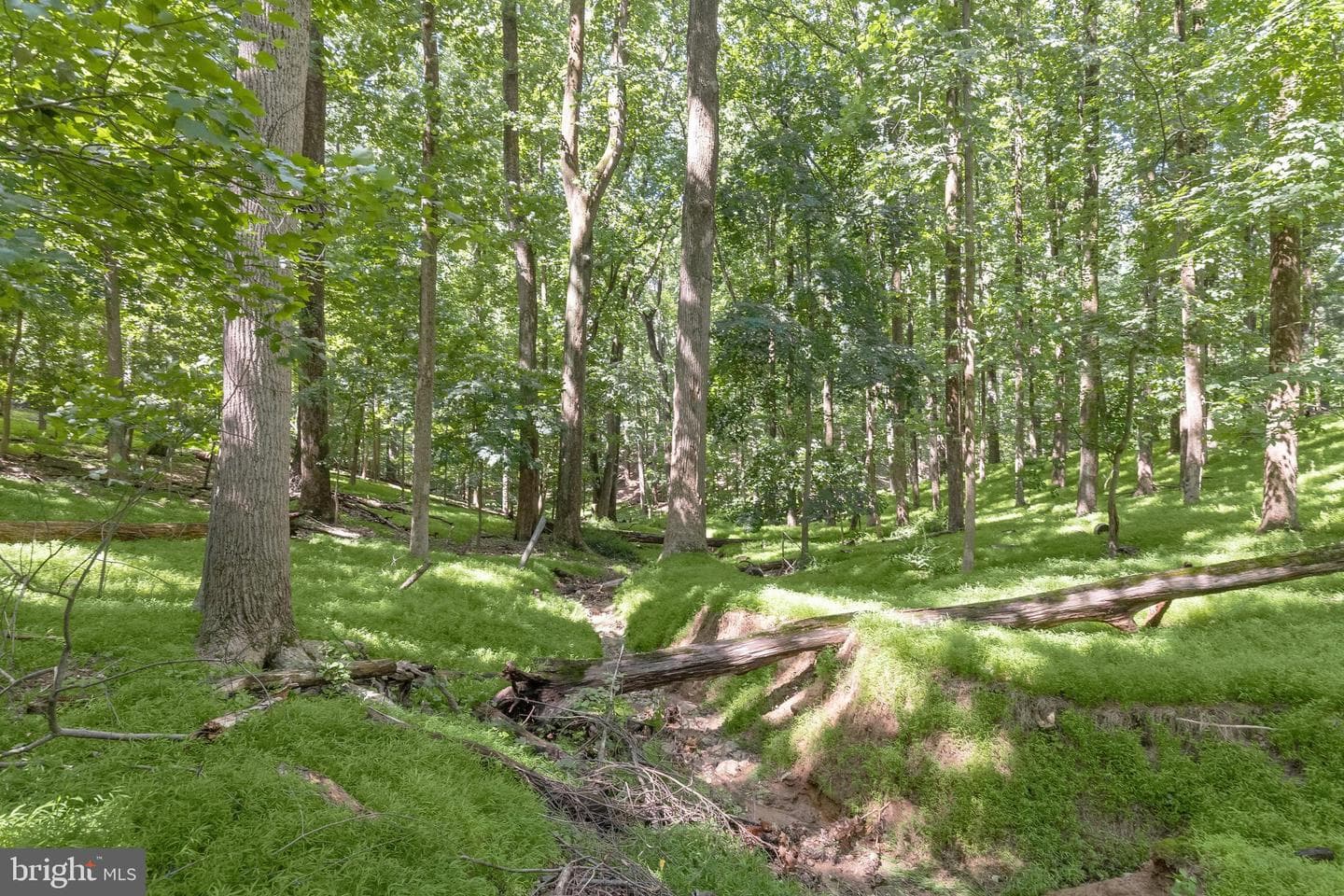 3903 Dance Mill Road photo 68