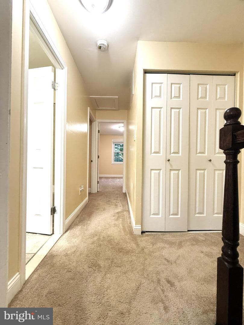 314 Hometown Way photo 41