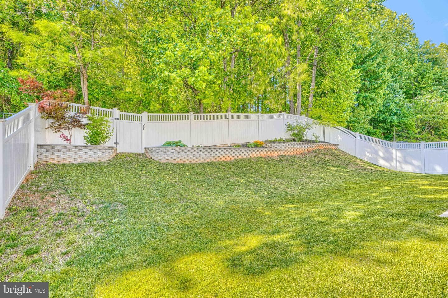 11550 Autumn Terrace Drive photo 46