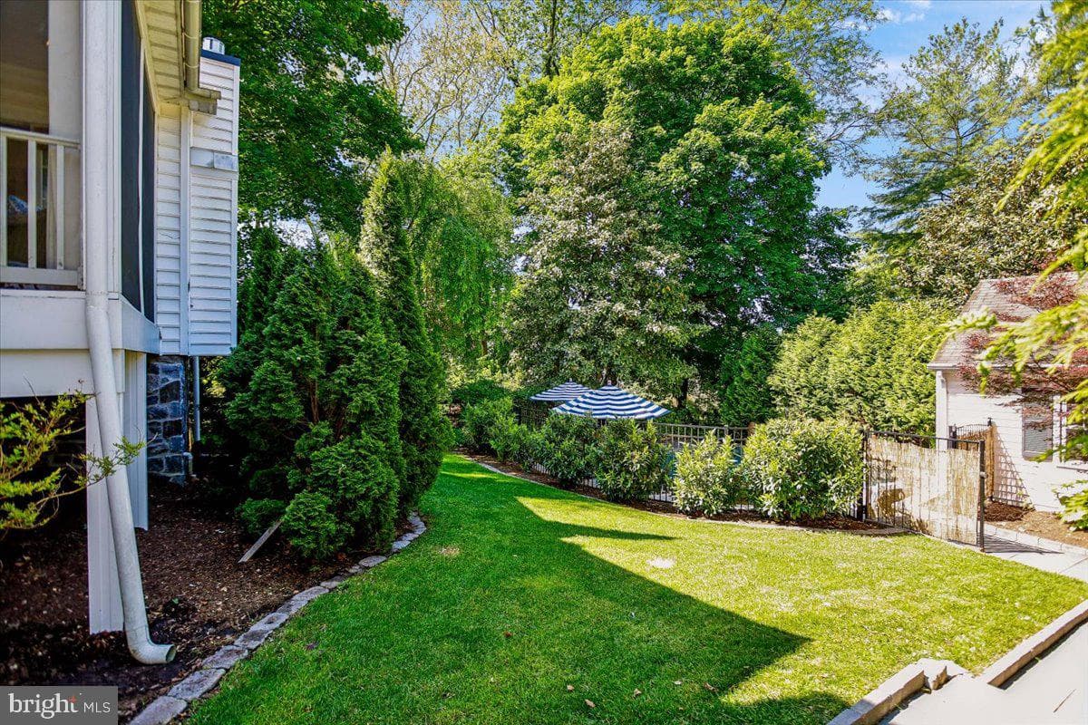 7810 Chelsea Street photo 62