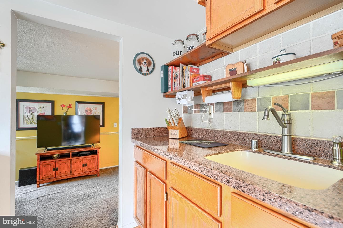 12 Sproul Court photo 19