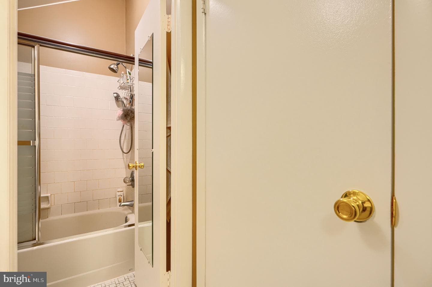 12 Sproul Court photo 29